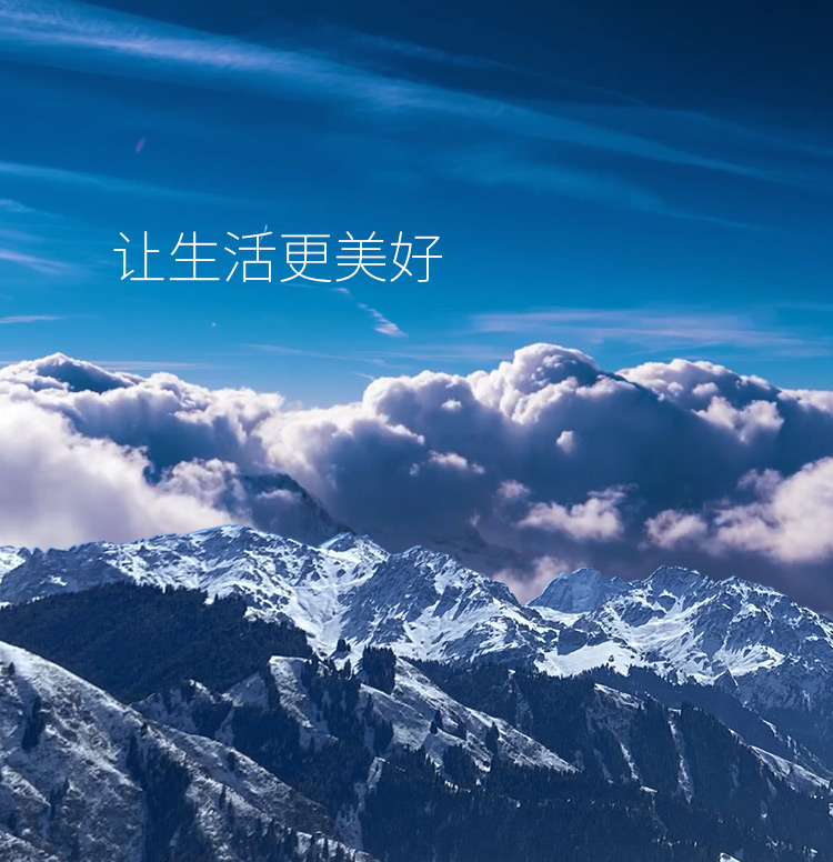 社會責(zé)任金